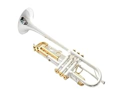 Professionell trompete rcheste gebraucht kaufen  Wird an jeden Ort in Deutschland