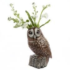 Tawny owl flower for sale  Delivered anywhere in UK