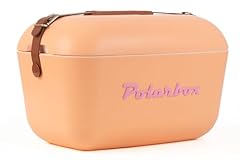 Polarbox gelateria sorbet usato  Spedito ovunque in Italia 