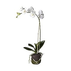 Sia orchidée artificielle d'occasion  Livré partout en France