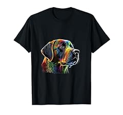 Cane labrador lab usato  Spedito ovunque in Italia 