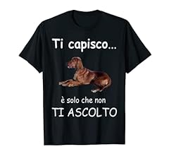 Setter irlandese cane usato  Spedito ovunque in Italia 