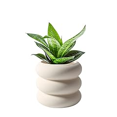 Sandybaytas ceramic plant for sale  Delivered anywhere in USA 
