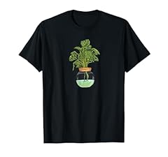 Monstera deliciosa variegata gebraucht kaufen  Wird an jeden Ort in Deutschland