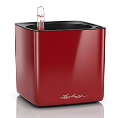 Lechuza cube glossy gebraucht kaufen  Wird an jeden Ort in Deutschland