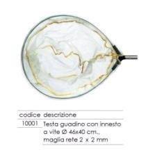 Sport fishing testa usato  Spedito ovunque in Italia 