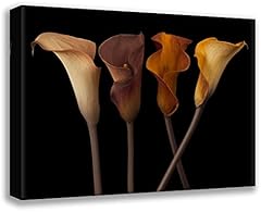 Artdirect four calla for sale  Delivered anywhere in USA 