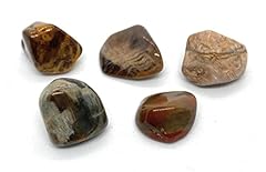 Petrified wood small for sale  Delivered anywhere in UK