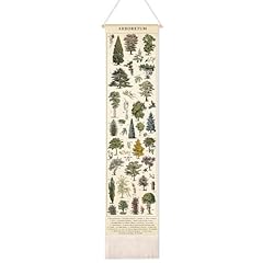 Feifeiya vintage plants for sale  Delivered anywhere in USA 