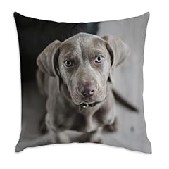 Fabulous coussin velours d'occasion  Livré partout en France