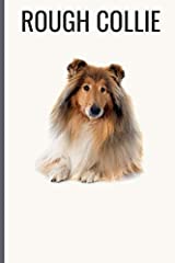 Rough collie rough for sale  Delivered anywhere in Ireland