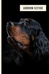 Gordon setter funny usato  Spedito ovunque in Italia 