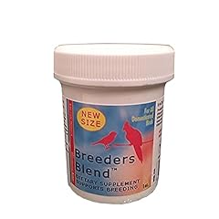 Morning bird breeders for sale  Delivered anywhere in UK