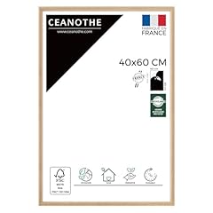 Ceanothe cadre photo d'occasion  Livré partout en France