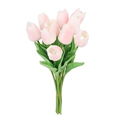 Syrisora lot tulipes d'occasion  Livré partout en France