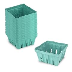 Products green berry for sale  Delivered anywhere in USA 