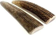 Split antler dog for sale  Delivered anywhere in UK