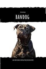 Bandog alles über usato  Spedito ovunque in Italia 