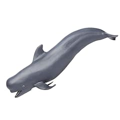 Safari pilot whale gebraucht kaufen  Wird an jeden Ort in Deutschland