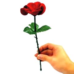Apparition rose vidéo d'occasion  Livré partout en France