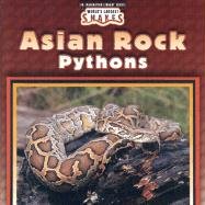 Asian rock pythons for sale  Delivered anywhere in UK