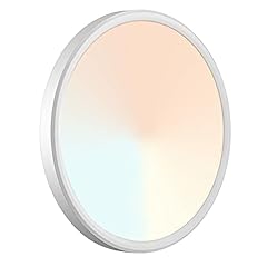 Lzhome led ceiling for sale  Delivered anywhere in USA 