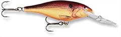 Rapala shad rap for sale  Delivered anywhere in USA 