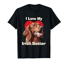 Love irish setter usato  Spedito ovunque in Italia 