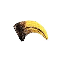 Velociraptor dinosaur life for sale  Delivered anywhere in USA 