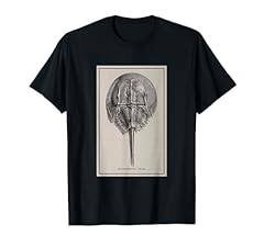 Vintage horseshoe crab for sale  Delivered anywhere in USA 