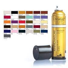 Rinnovatore colore spray usato  Spedito ovunque in Italia 