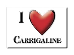 Enjoymagnets carrigaline fridg for sale  Delivered anywhere in Ireland