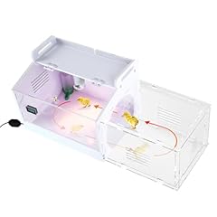 Iarge scale chick for sale  Delivered anywhere in USA 