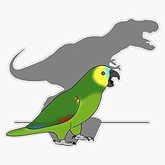 Rex blue fronted for sale  Delivered anywhere in USA 
