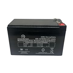 Razor epunk battery for sale  Delivered anywhere in USA 