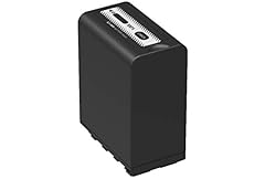 Panasonic vbr118gc batterie d'occasion  Livré partout en Belgiqu