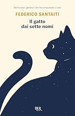 Gatto dai sette usato  Spedito ovunque in Italia 