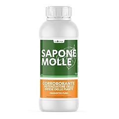 Closter sapone molle usato  Spedito ovunque in Italia 