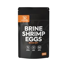 Bss artemia baby for sale  Delivered anywhere in UK