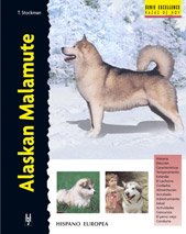 Alaskan malamute d'occasion  Livré partout en Belgiqu