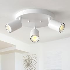 Egm round ceiling for sale  Delivered anywhere in USA 