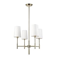 Globe electric 61255 for sale  Delivered anywhere in USA 