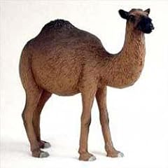 Conversation concepts camel for sale  Delivered anywhere in USA 