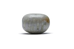 Jasper coral fossil for sale  Delivered anywhere in UK