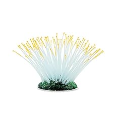 Sporn anemone orange for sale  Delivered anywhere in USA 