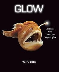 Glow animals night for sale  Delivered anywhere in USA 