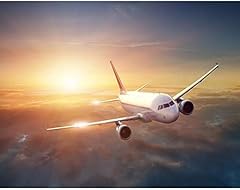 Yscolor handmade aircraft for sale  Delivered anywhere in UK