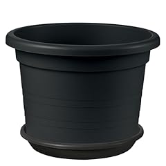 Sicignano vaso cilindro usato  Spedito ovunque in Italia 
