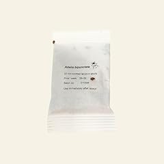Dragonfli ladybird adults for sale  Delivered anywhere in UK