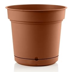 Vaso tondo con usato  Spedito ovunque in Italia 